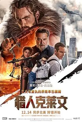 雾中来客电影封面